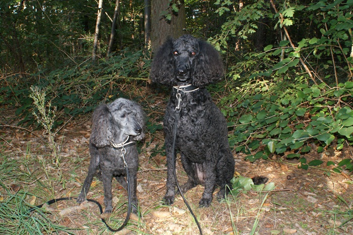 Evi + Hanka